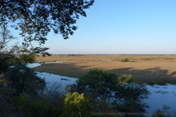 Le Bwabwata NP a souvent des airs de delta de l'Okavango