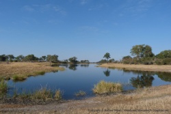 Tout comme sa grande soeur l'Okavango, la rivière Kwando dessine des lagons dans ses nombreux méandres