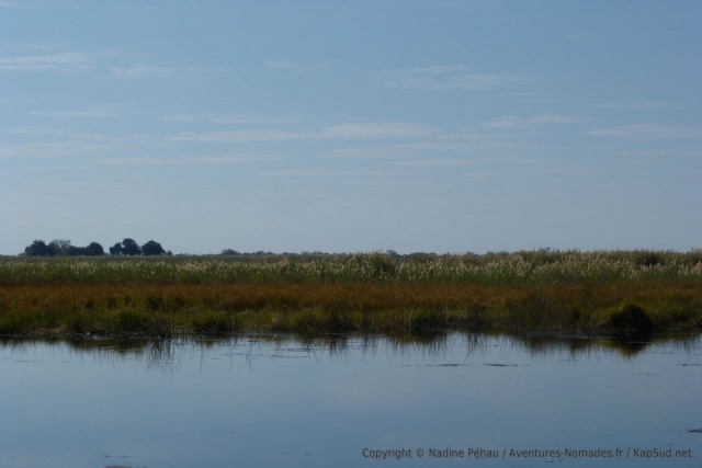 Par moment, on se croirait vraiment dans le delta de l'Okavango
