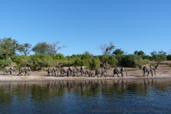Découvrir la rivière Chobe en bateau ouvre de nouvelles perspectives