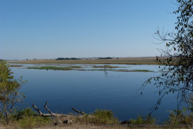 Point de vue sur la rivière Chobe et ses étendues humides