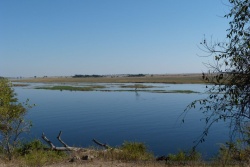 Point de vue sur la rivière Chobe et ses étendues humides