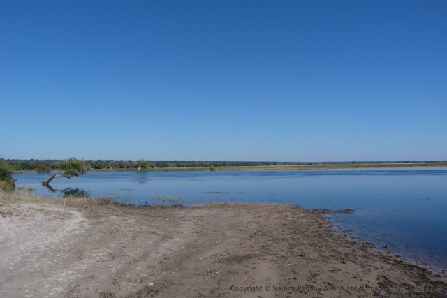 L'avantage du Chobe River Front, c'est que la piste longe très souvent la rivière
