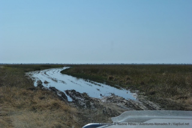 Bon, la piste qui longe Savuti Marsh n'est pas encore praticable, dommage !