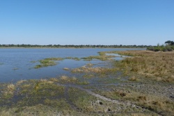 De nombreux pans remplis d'eau alternent avec des paysages de forêts et de savanes