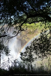 Un arc en ciel sur les chutes Victoria
