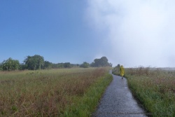 Les chutes Victoria génèrent tellement de vapeur d'eau que le ciel en est obscurci et nous trempés !