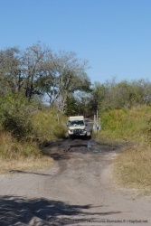 Serge et Jacline goutent les joies de l'aventure au Botswana
