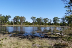 Les panoramas des berges de la rivière sont bucoliques et magnifiques