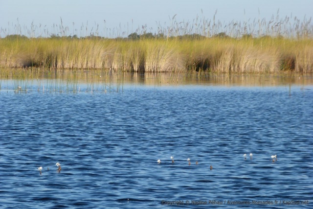 Xakanaxa Lagoon dans toute sa splendeur