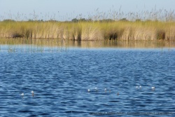 Xakanaxa Lagoon dans toute sa splendeur