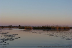 Le passage des bateaux entretient les canaux et les chenaux