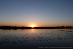 Un coucher de soleil merveilleux sur le lagon de Xakanaxa