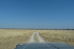 La piste reprend ses droits dans la savane