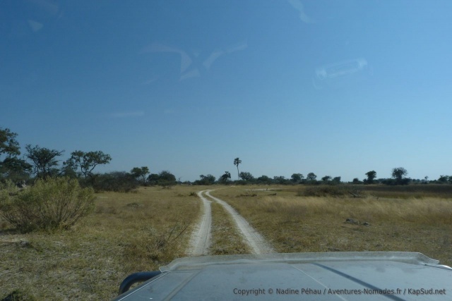 Encore un nouveau décor que nous offre le delta de l'Okavango