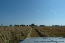Les herbes qui nous entourent sont de plus en plus hautes