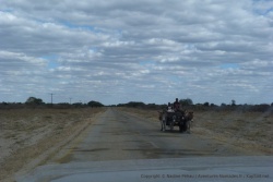 Cariole 4x4