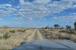 La piste pour le Central Kalahari longe une clôture sur des kilomètres