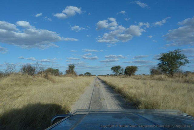 Quel bonheur de se retrouver de nouveau dans la réserve du Central Kalahari !