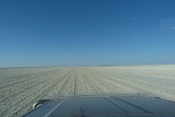 5ème partie - Botswana : du Central Kalahari GR à la rivière Boteti puis traversée des pans de Makgadikgadi jusqu'à Kubu Island