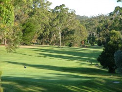 ... et attention aux kangourous sur les golfs !