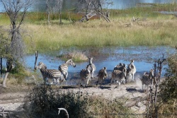 Aux abords de la rivière, l'excitation est à son comble
