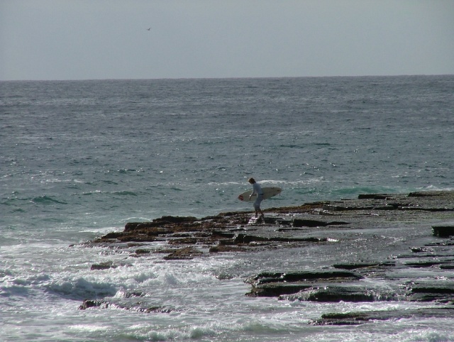 et bien sûr, encore et toujours, le surf, le sport roi de l'Australie !