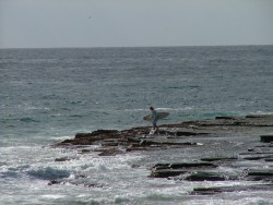 et bien sûr, encore et toujours, le surf, le sport roi de l'Australie !