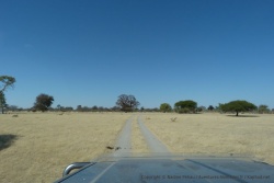 Au milieu de ces clairières blondes, surgissent de rares arbres et parfois, de superbes baobabs