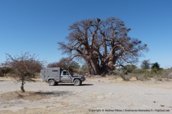 Avec Totoy à côté, on se rend mieux compte de la démesure de ce géant