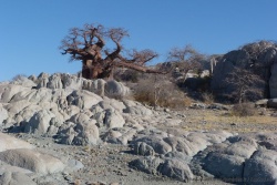 Kubu Island est un lieu unique, posée comme une île dans un océan asséché