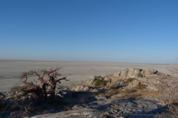 Les baobabs de Kubu Island ajoutent encore un peu plus de spiritualité aux lieux