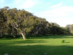 Les paysages champêtres et bucoliques des environs de Margaret River