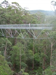 Passerelles suspendues de la vallée des géants