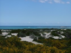 aysage classique entre Lancelin et Jurien Bay