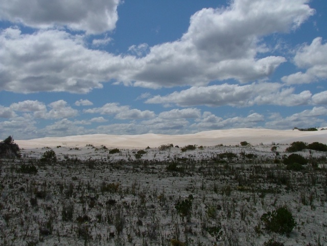 Ombres et lumières sur fond de dune