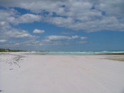 La plage immense