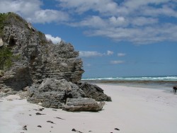 Les falaises de calcaire