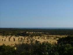 Désert des pinnacles  	... et toujours la mer à l'horizon