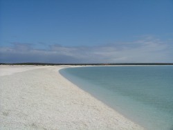 Shell Beach : blancheur époustouflante sur 110 km de long !  	