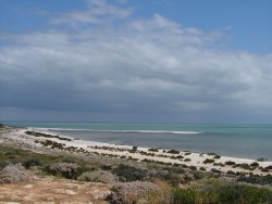 Côte sur Shark Bay
