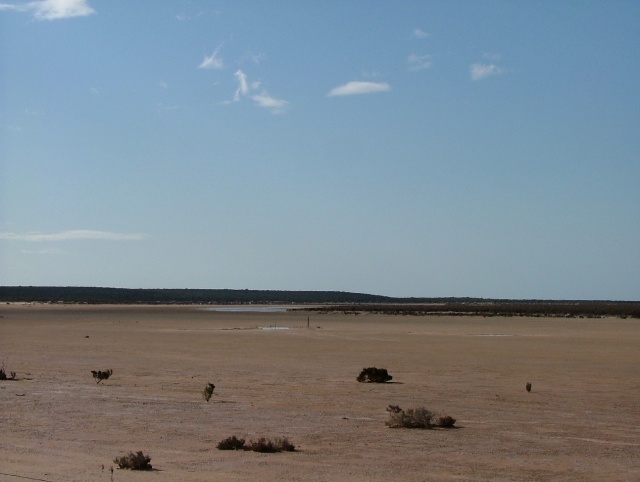 Les pans asséchés du François Péron NP