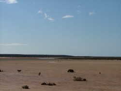 Les pans asséchés du François Péron NP
