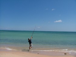 Admirez le geste