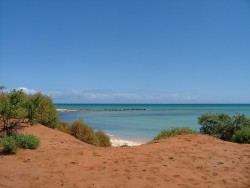 Contrastes de couleurs caractéristiques des rivages  du François Péron NP