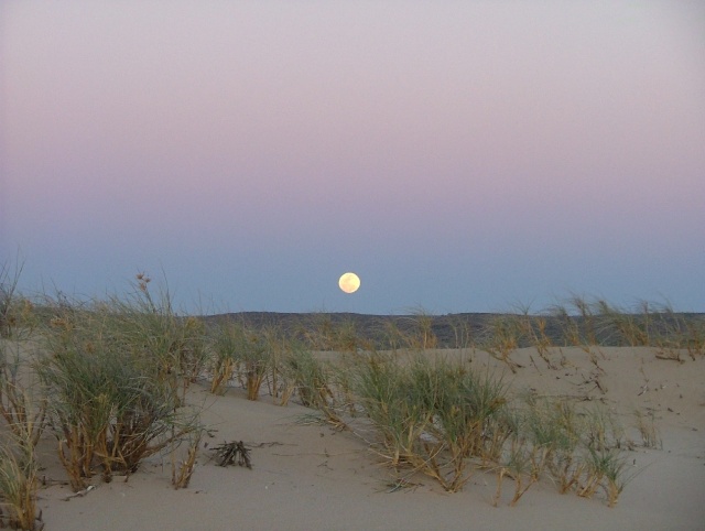 Lever de lune dans le presque désert