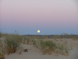 Lever de lune dans le presque désert