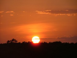 Coucher de soleil dans le bush
