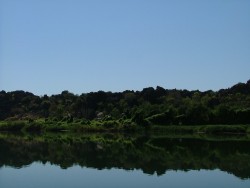 Vue d'ensemble de la rivière de Fitzroy Crossing