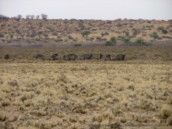 afs_2008_1026(016)